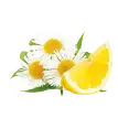 Gusto camomilla e agrumi - Prodotto al gusto camomilla e agrumi