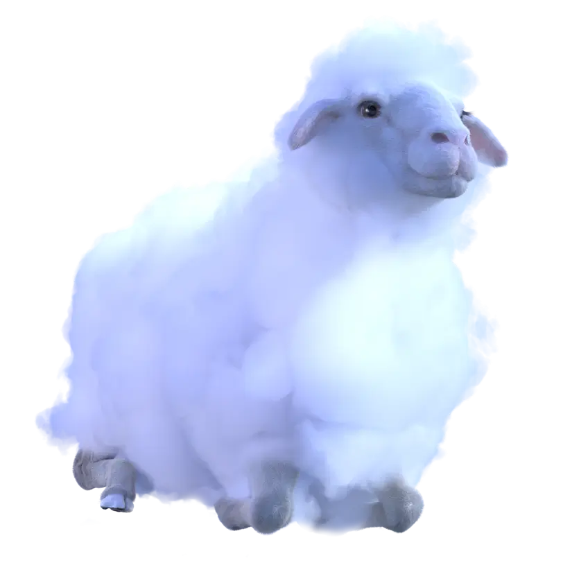 Sheep resting - Pecora sdraiata Novanight Tisana